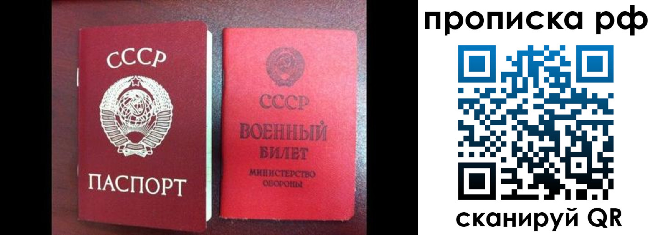 прописка для школы в Сочи
